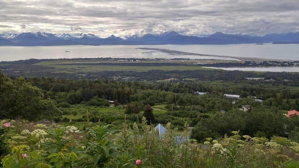 Lakeshore Lodging Suites Homer Esterno foto